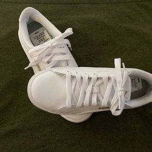 White Pumas